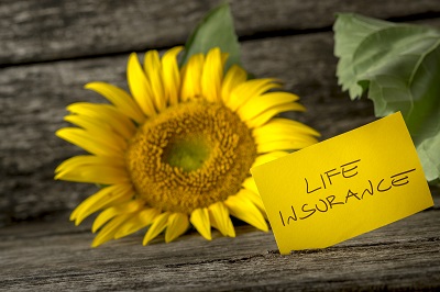 life insurance sign and a sunflower